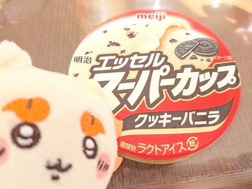 人間の一番お気に入りのアイス🍨