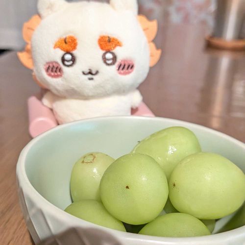 「デザートのシャインマスカットです！美味シーサー😋」