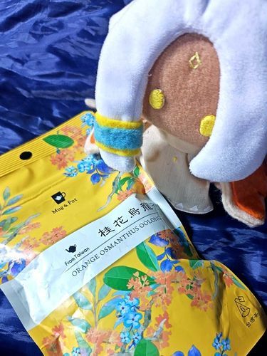 このお花、いまお外にさいてるんだって