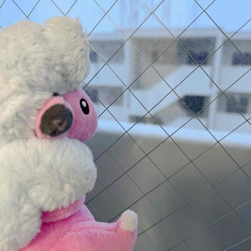 おそとはさむそうなの ☃︎❄️