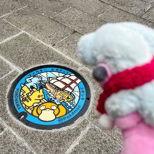 もこやんがポケふたになるならどこのまちかな？