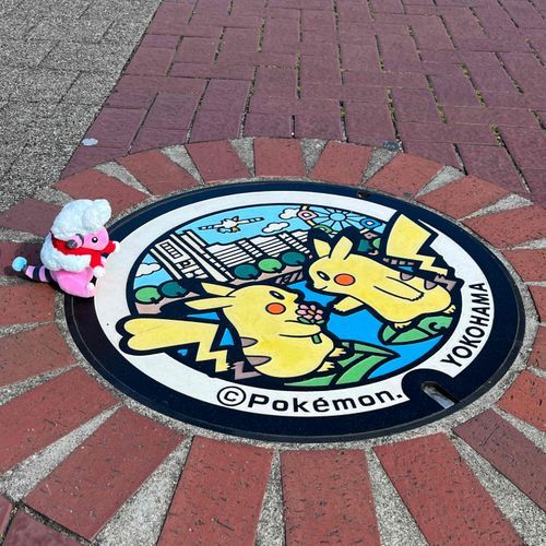 いつかもこやんもポケふたになりた〜〜〜い