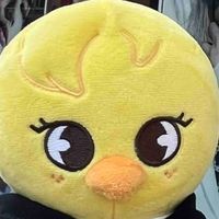 ポガ