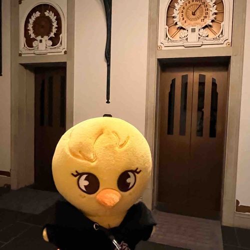 レトロなホテルにとまったよ🐥✨