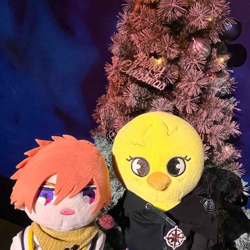 すこしはやいMerry Christmas🎄