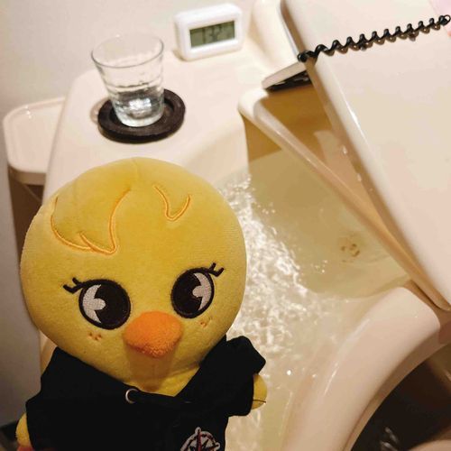 おんよくにいったよぉ〜🐥