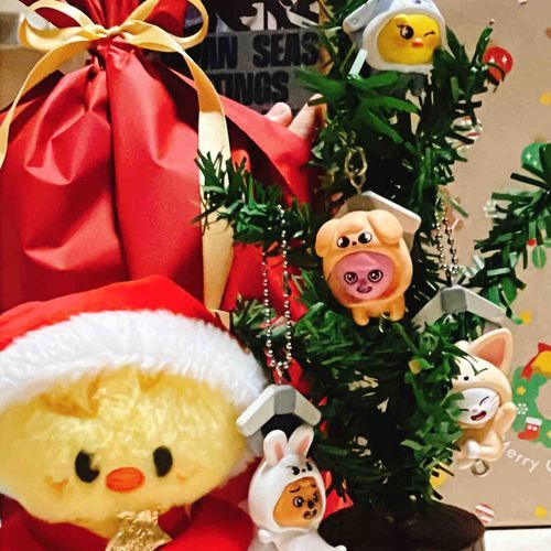 Merry Christmas🎄🐥