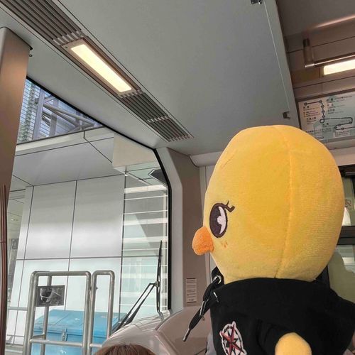 ゆりかもめにのったよ🐥🚃