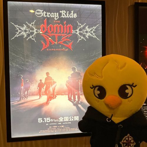 えいがをみてきたよ〜！
かっこよくてさいこうだった🐥💕