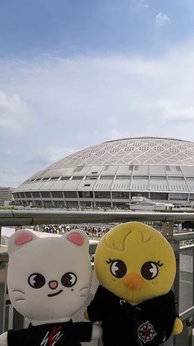 バンテリンドームナゴヤ🏟️
とってもたのしくてしあわせだったね🥟🐥