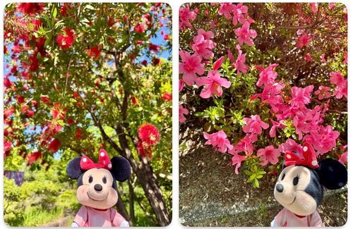 公園にお散歩に行って来たの✨