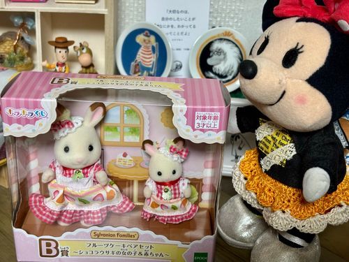 シルバニアのキラキラくじの再販があって一回ひいたらね、Ｂ賞当たったの🐰✨