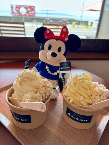 ポン菓子ののったアイスなの🍨✨
左が白桃で右がカスタードバニラのアイスなの😊