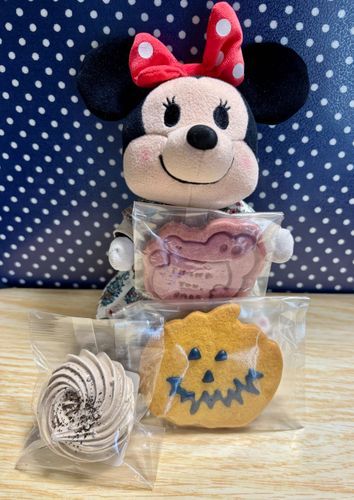 ぬしさんのお友達が教えてくれたわにさんクッキーのお店で買ったクッキーなの✨
わにさんが紫芋、ハロウィンカボチャがパンプキン、もう一つがメレンゲの紅茶味なの😊✨
