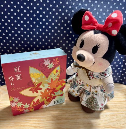ルピシアの紅茶なの🫖✨
林檎と杏の紅茶に本物の紅葉も入った紅茶なの🍁✨