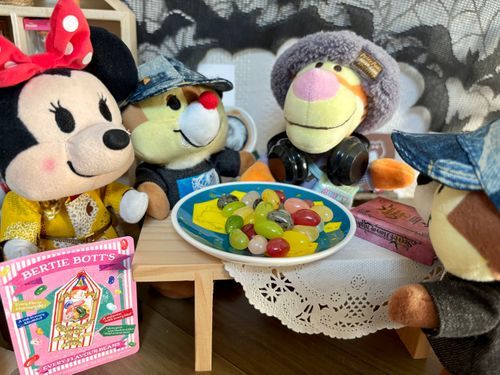 お土産にもらった百味ビーンズなの✨
みんなでこれ何味かなって楽しみながら食べてるの🤭✨