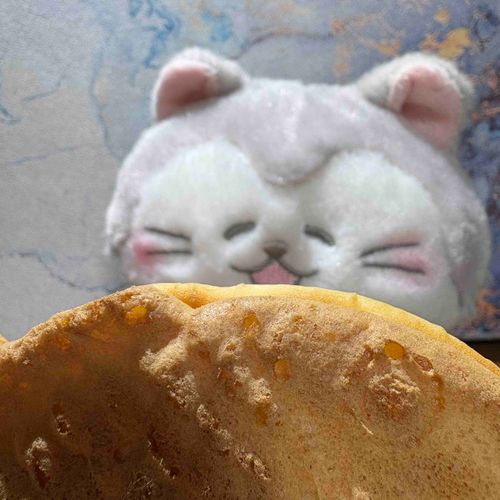 わーい！たい焼きだよー！