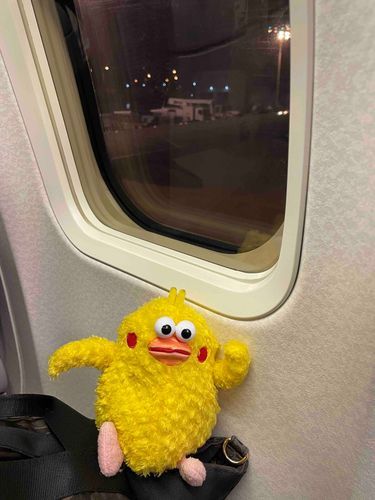 楽しい旅行もおしまい！
これから　飛行機に乗って
お家に帰ります。
、、、チクポン　ちょっと悲しい。
バイバーイ