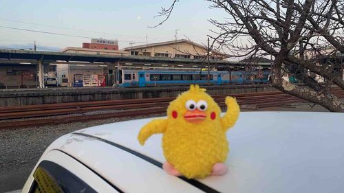 チクポン　今日はドライブでお出かけしてます。空気が澄んで気持ちいいです。ちょっと寒いけど。