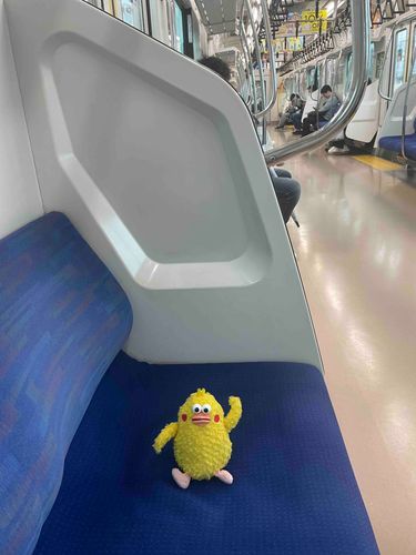 朝早い　電車の中です。
ちょっと寂しいけど　これから羽田空港に向かいます。