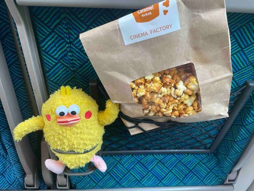 チクポン　列車で移動中。
ポップコーンがお供なの！
美味しい😋