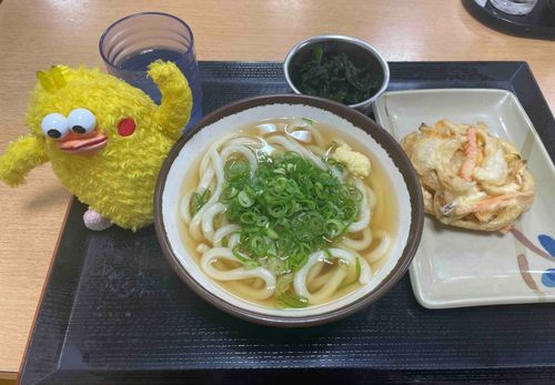 チクポン　今日のお昼は、うどん&かき揚げ天ぷらなんだー。美味しかったよ！