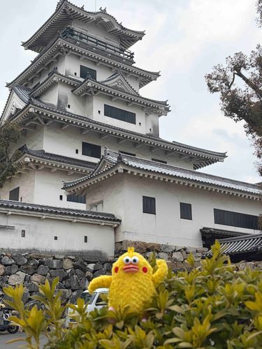 チクポン　愛媛県今治城に来てます。お城をバックにポーズです。
