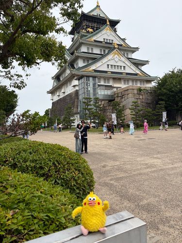 チクポン　大坂城に行ってきました。大きいお城でした。