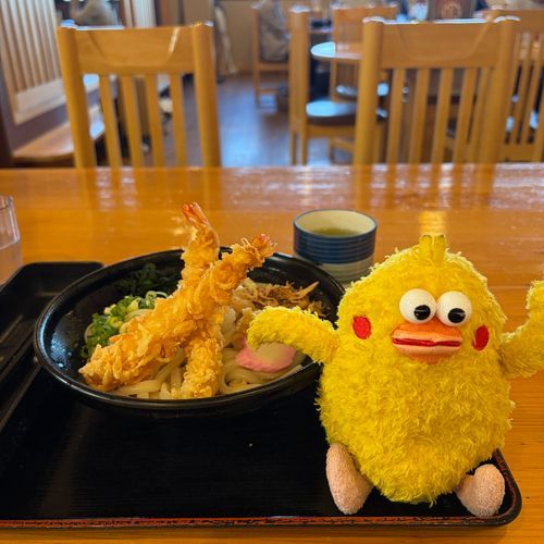 チクポン　今日のランチは　冷やし海老天うどんです。さっぱりして美味しかったでーす。