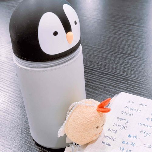 勉強頑張って(*ˊᵕˋ*)੭ ﾉ