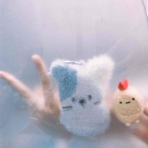 ʕ•̀ω•́ʔ✧ʕ⁎̯͡⁎ʔ༄