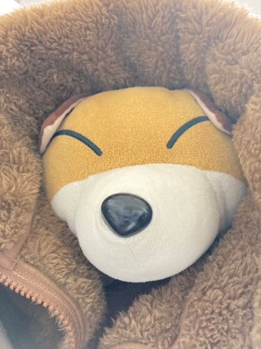 きせつはずれのもこもこんたさま😶‍🌫️