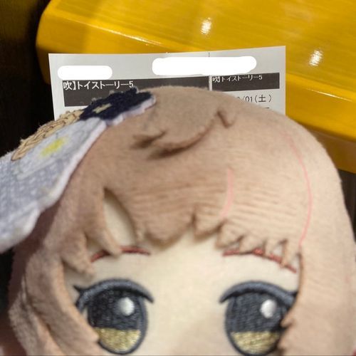 もちぬしさんとえいが！🎬
ぬいぐるみもでてくるのかなぁ？