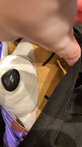 こんたさまはめだつからたまにおでかけするときはこーやってかくれとる