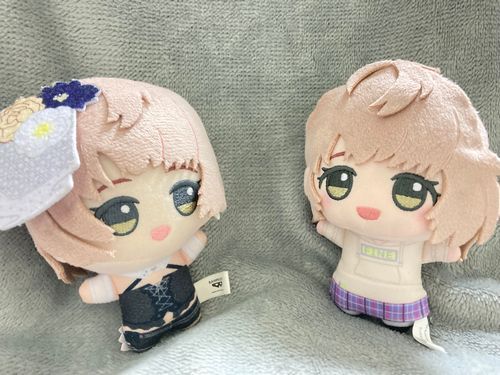 きょうからわたしはおねえさん！🐑🐑
おうちのこと、もちぬしさんのこと、たくさんおしえてあげるんだ〜♪