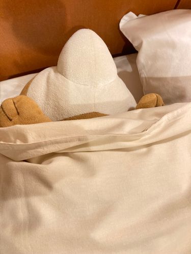 ほてるのべっどはこんたさまのもの！！！！！！
