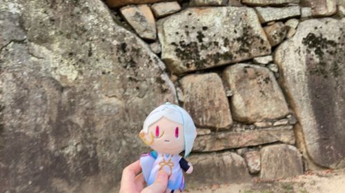 おかやまじょうのていさつにきたぞ。
このようなきょせきによるいしがきは、じょうしゅのけんりょくのつよさをものがたる。
さまざまなものにものがたりがあるのだな。