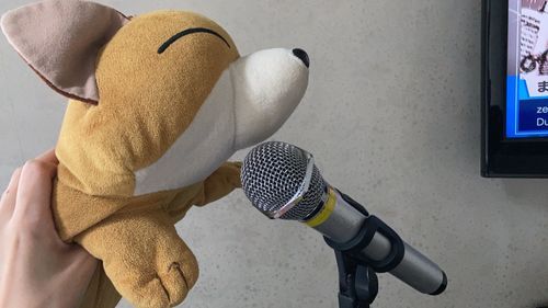 こんたさまのえんじぇるそんぐぼいすをひびかせてやるかぬ"ぅ"‼️‼️‼️‼️‼️‼️