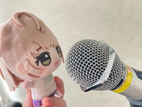 ららら〜♪
もちぬしさんとみんなとからおけにきたよ！
