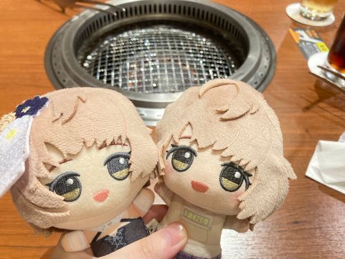 みんなでやきにくにきたよ！
でも、ぬいぐるみのきんがついたり、はんたいにやきにくのにおいがついたらいけないから、わたしたちはけんがくだって……。
しゅん……。