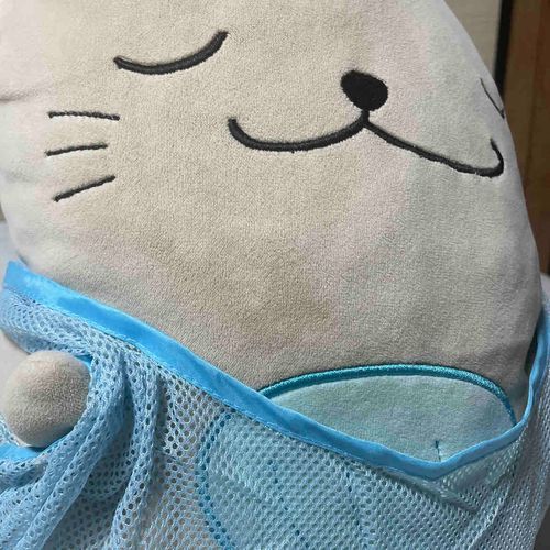 フレディ・マーキュリーのすけ