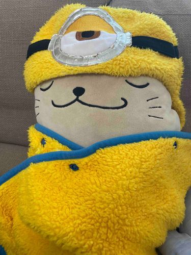 あたたかいですね