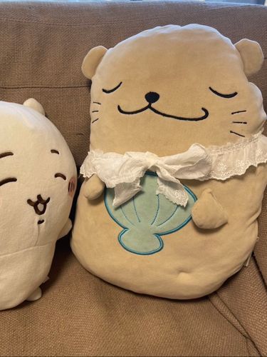 cute襟のすけ