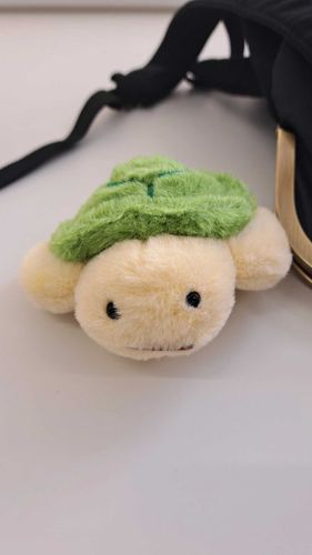 最近もふもふなカメをお迎えしました🐢