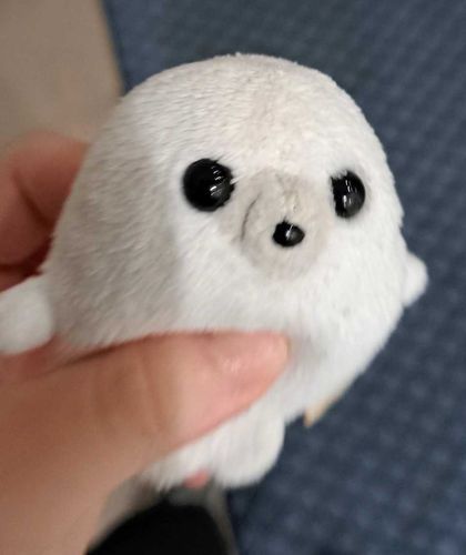 \ﾌﾞｫﾝ‼️/