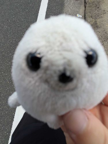 ﾌﾝﾌﾝﾌﾝ
