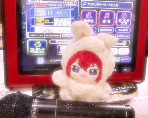 今日はお姉さまとカラオケに行ってきましたよ♪
私も数曲歌いましたが、お姉さまも大喜びしてくださいました！