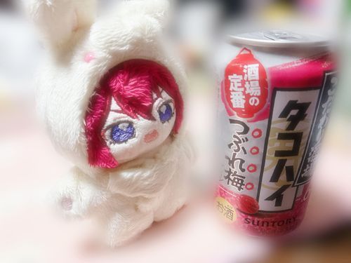 お姉さまの晩酌にお供します♪
