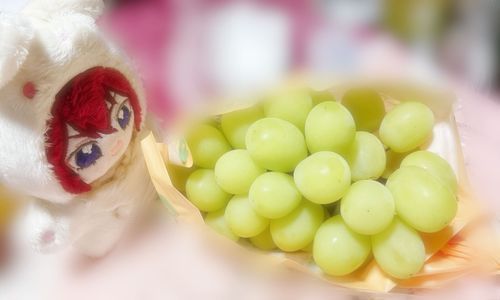 見てください！お姉さまがシャインマスカット買ってくれましたよ💚🍇
メロンみたいな甘さで美味しいです！