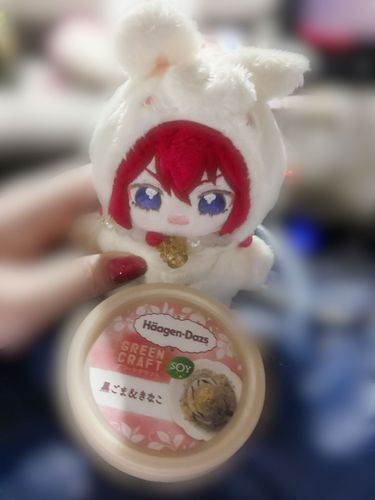 お姉さまと今日は素敵な一日を過ごせましたよ♪
念願のお姉さまとプリクラも撮ってきました！手でハート…というのは難しいですね…💦
そして今日のDesertはIce Creamです！香ばしくて美味しかったですよ♪